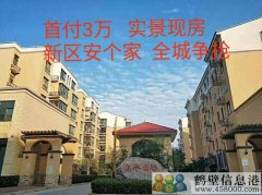 首付3萬(wàn)，新區安個(gè)家